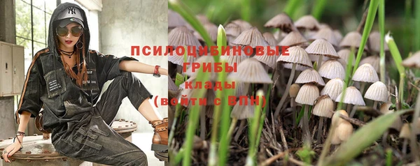 соль курить ск Покровск