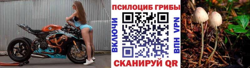 кракен зеркало  Черепаново  Галлюциногенные грибы мухоморы 